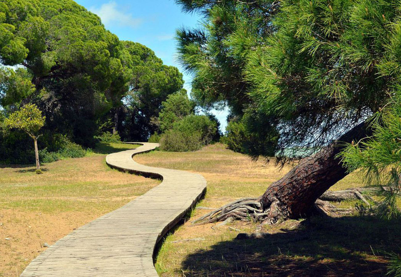Ruta en bicicleta por Marismas del Odiel